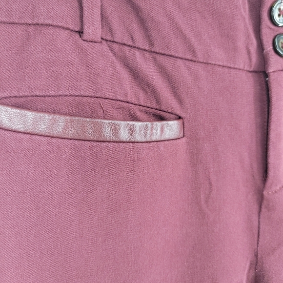 Anthropologie The Essential Slim Trousers Red Ankle Crop Pant Size 2 - Picture 7 of 11